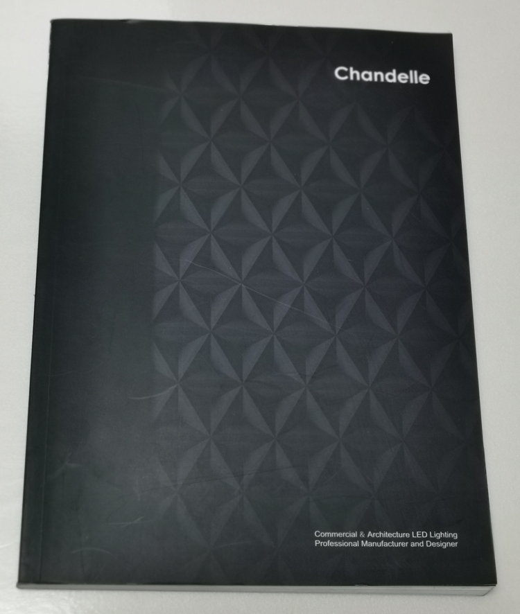 chandelle-企業(yè)英文宣傳冊(cè)印刷制作